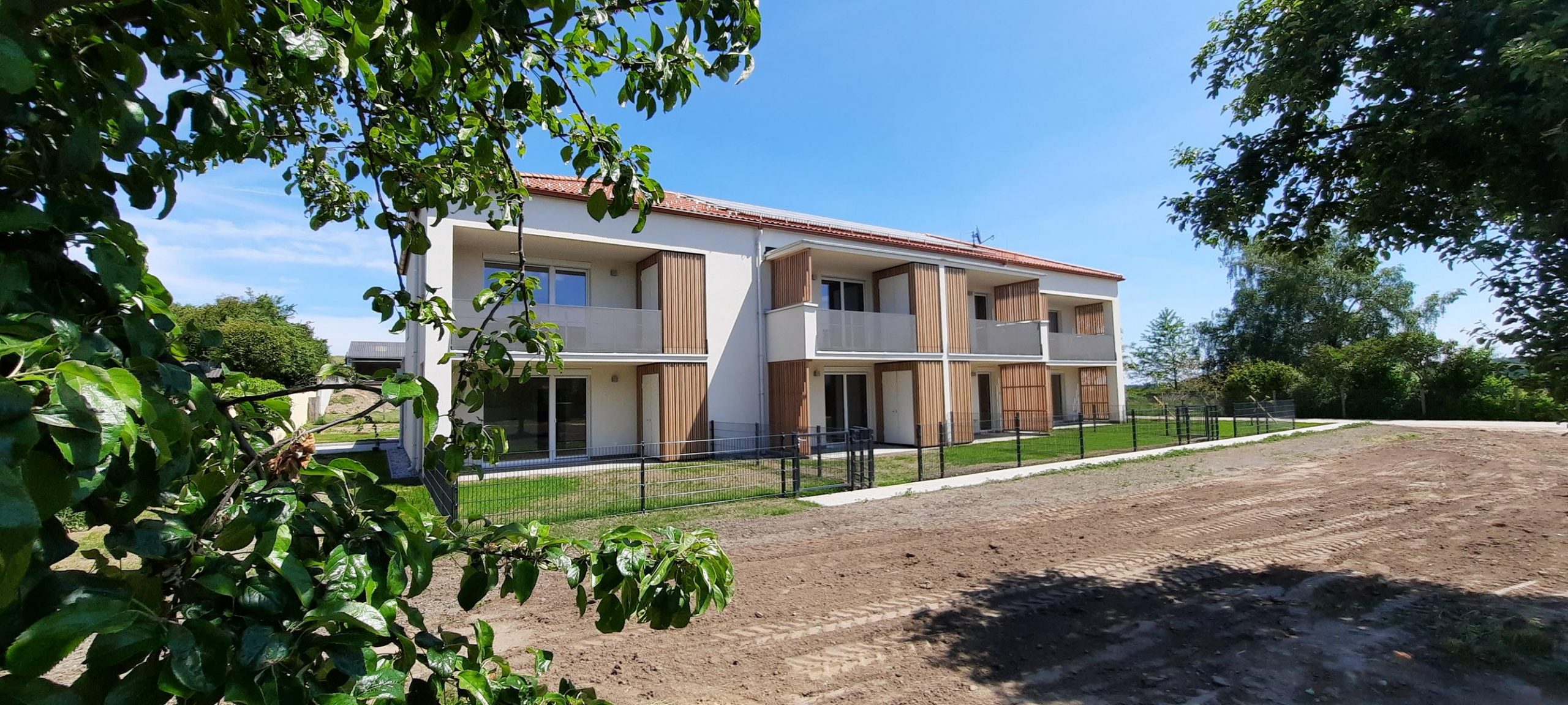 WHA JAPONS I WHA JAPONS I